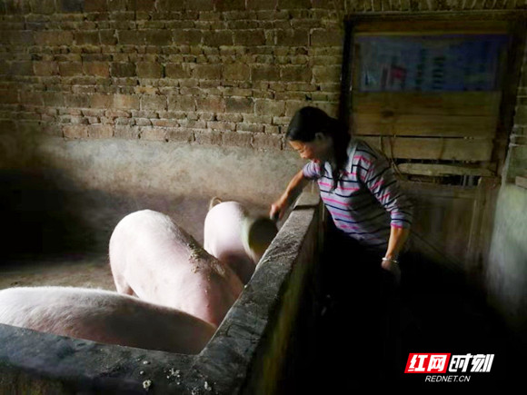 ????_20190822095336_??.jpg ????_20190822095336_??.jpg