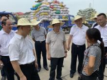 优质优价 让粮食有序“归仓” --省粮食和储备局局长张亦贤到集团调研早稻收购工作