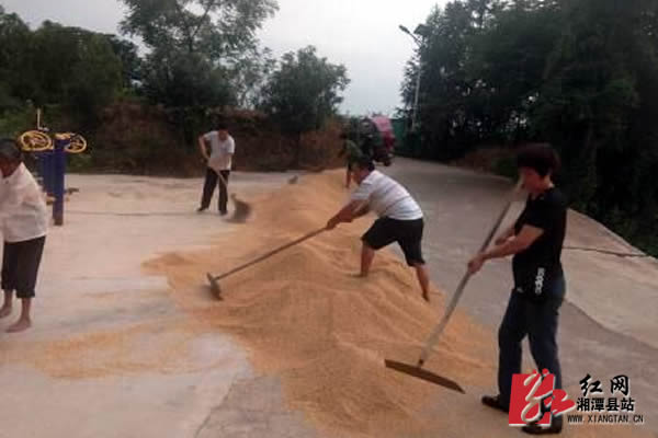 QQ??20190823112755.jpg