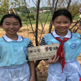 小同学认养小树苗 让地球变得更年“青”