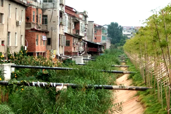 4黑臭水体改造项目已投入使用的化粪池等配套设施.jpg 4黑臭水体改造项目已投入使用的化粪池等配套设施.jpg