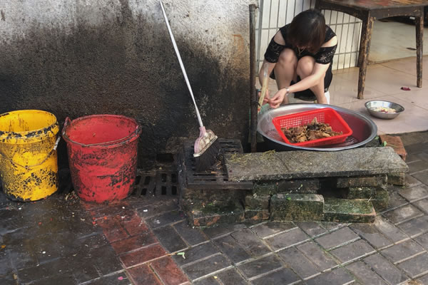 Still1201_00012.jpg Still1201_00012.jpg