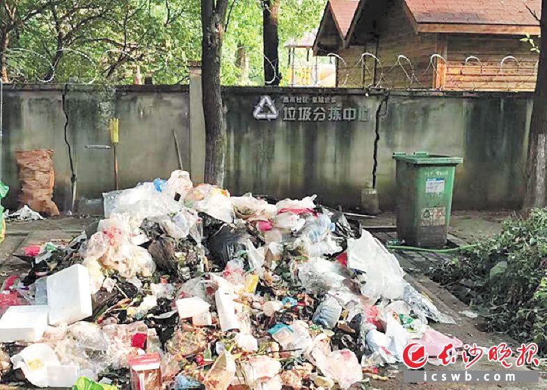 　　垃圾站的对面就是小区幼儿园，臭味环绕的学习环境令家长担心。 　　长沙晚报实习生 高雅兰 全媒体记者 谢春年 摄影报道