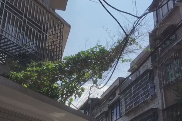 Still1201_00011.jpg Still1201_00011.jpg