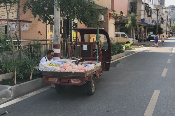 Still1201_00009.jpg Still1201_00009.jpg