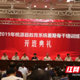 2019年桃源县教育系统骨干培训圆满结束