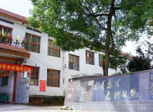 武冈市安乐中心小学：让生命与学问一同生长