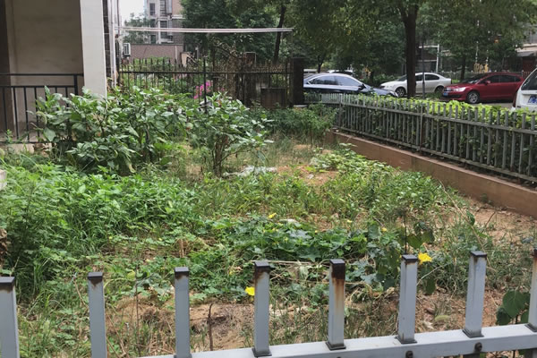 Still1201_00012.jpg Still1201_00012.jpg