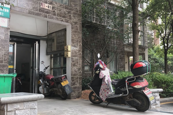 Still1201_00008.jpg Still1201_00008.jpg