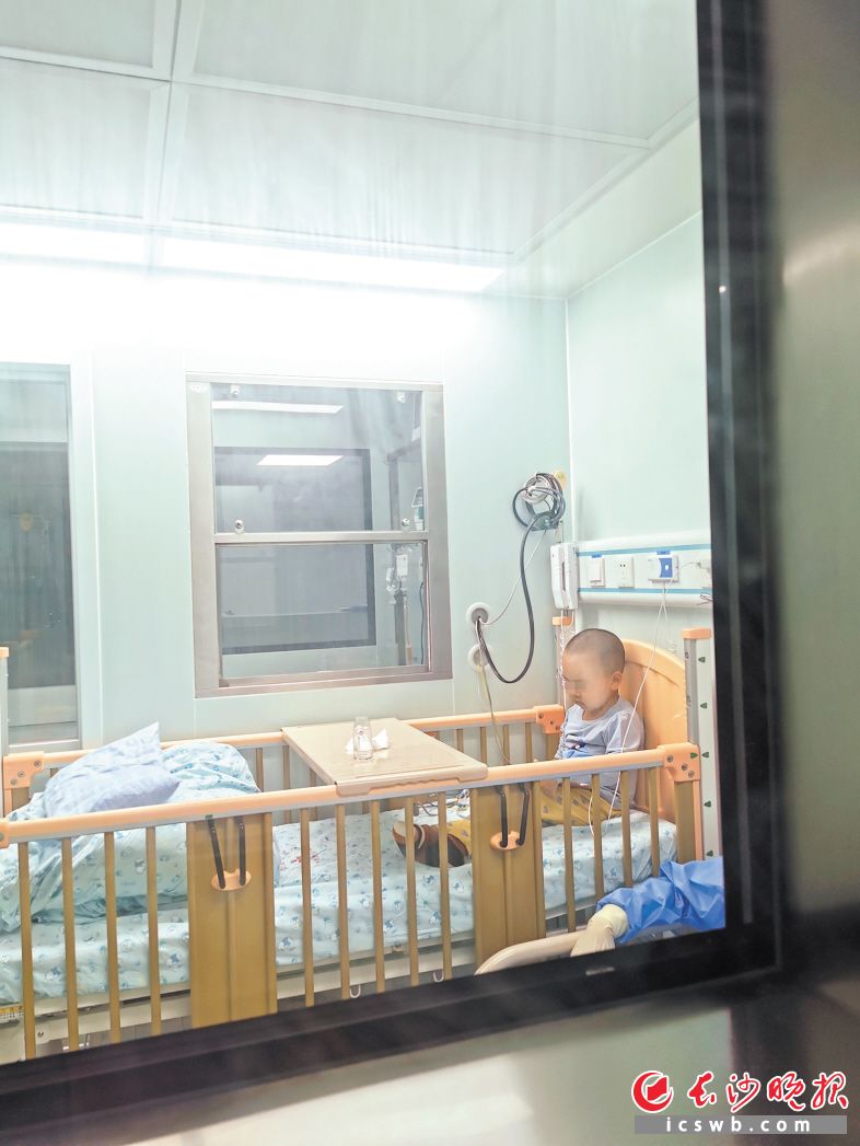 　　←孩子在安静地等待着跨越海峡的“生命种子”。　　长沙晚报通讯员 李奇摄