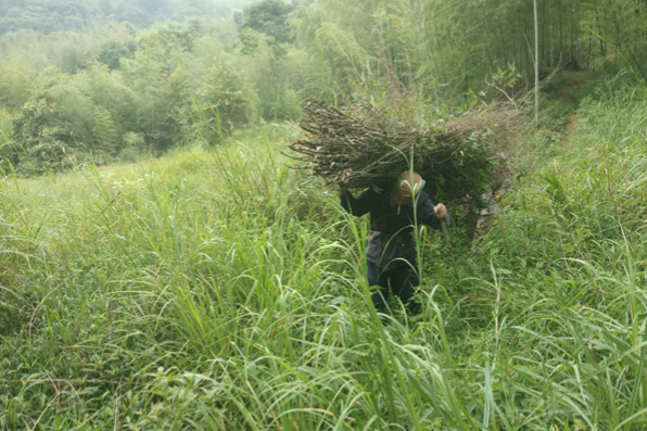 水滴公益圆梦千里爷孙情 助老人赴京看望病重孙女