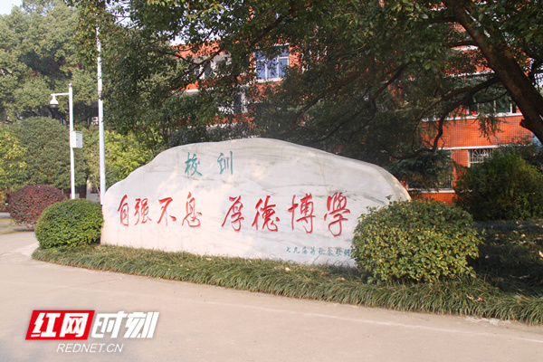 04.jpg