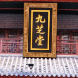 九芝堂传统业务势头良好 干细胞板块稳步推进