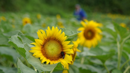 夏末在通道 听一曲华丽终章