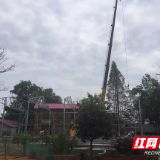 资阳区新桥河镇：依法拆除违建钢棚 助推村容村貌提升