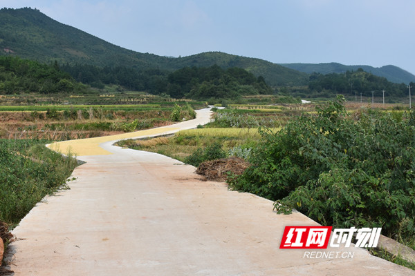 村中的产业路，直通大山深处油茶基地。.jpg