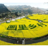 以“四力”夯实乡村振兴成果