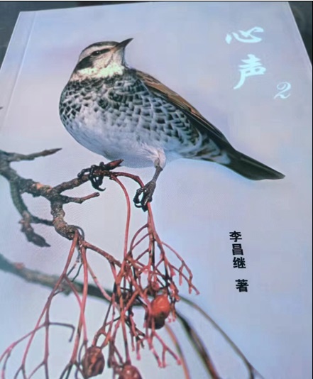 正在上传... 正在上传...