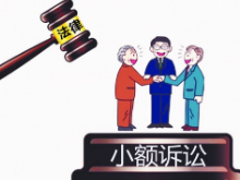 天元法院判决株洲首例当事人协商适用小额诉讼程序案件