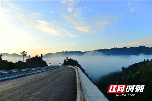 图片4.jpg 图片4.jpg