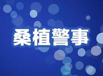 【桑植警事】这个流窜诈骗团伙在桑植落网