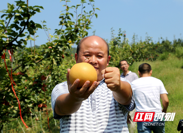 IMG_8358_副本.jpg