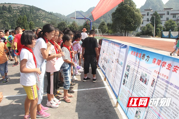 图为学生观看法治展板.jpg 图为学生观看法治展板.jpg