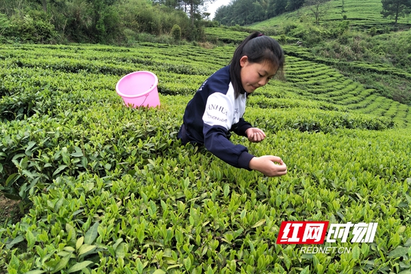 教师09.jpg