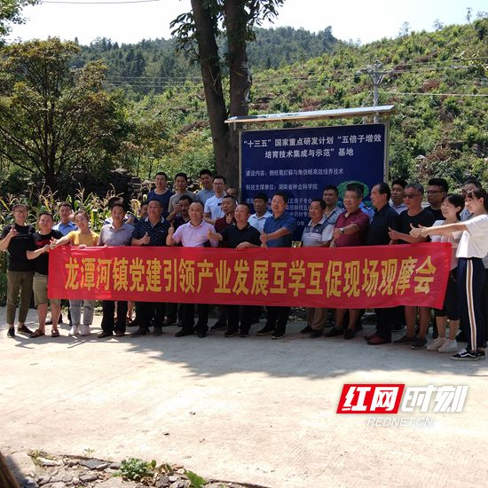 慈利： 党建引领产业发展观摩会