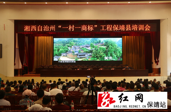 11(P947QVS6~8I~~2{{QH8B.jpg