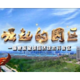《崛起的园区》——《长沙手机智能终端配套产业园项目建设有序推进》