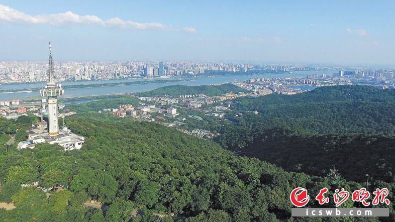 　　长沙下大力气坚决打赢蓝天保卫战，城市环境质量持续提升。余劭劼 摄