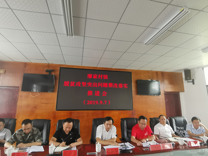 【活力商务】欧阳斌到廖家村镇督查脱贫攻坚突出问题整改工作