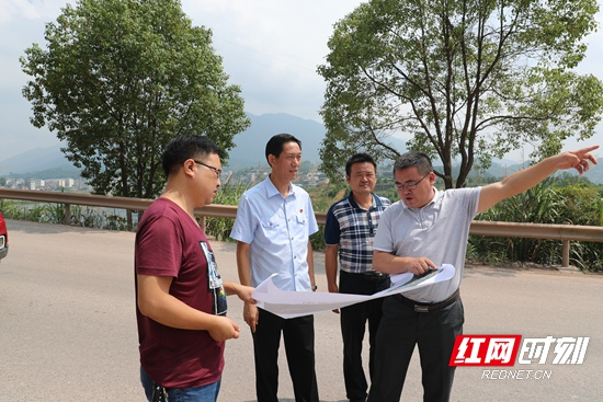 壮晓阳实地调研桑植产业大道项目建设情况