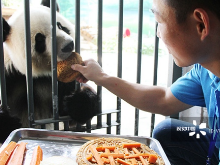 你以为中秋只是人类的节日？错！它们也爱吃月饼