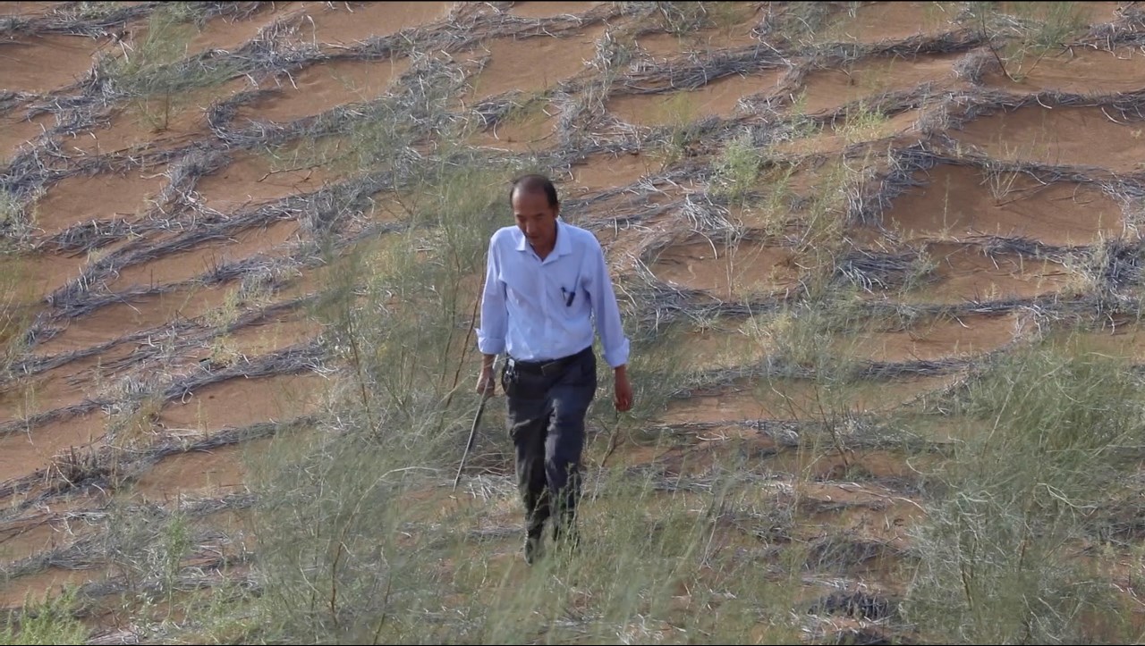 1副本.jpg 1副本.jpg