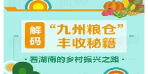 图解丨解码“九州粮仓”丰收秘籍 看湖南的乡村振兴之路