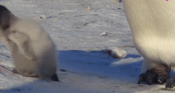 1568629662759722.gif 640 (2).gif