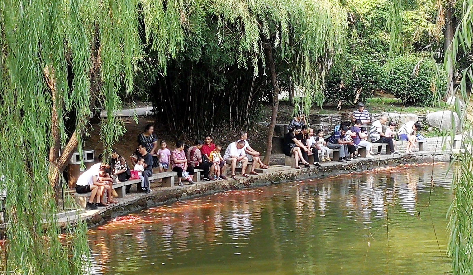 “柳塘观鱼”成为今年中秋假期市民、游客来烈士公园游玩时的重要打卡地。长沙晚报全媒体记者 周柏平摄