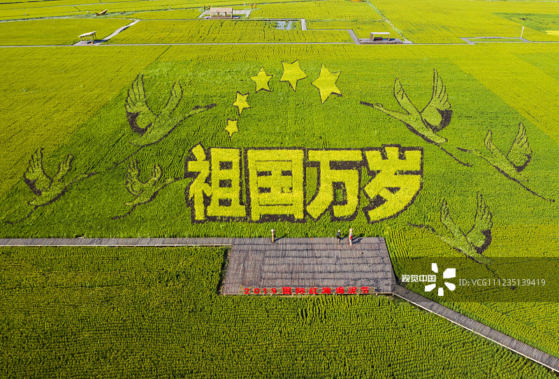 2019年8月19日，辽宁盘锦。航拍人工打造的稻田画。