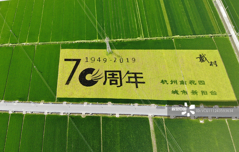 2019年8月27日，在杭州萧山戴村生态稻田上空航拍到的巨幅“庆祝新中国成立70周年”的稻田画。