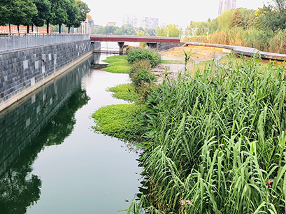 湖湘气象70年②｜助力“海绵城市”，气象部门有“神器”