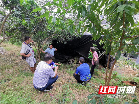 永定区：精准发力拆违建 齐心创卫享和谐