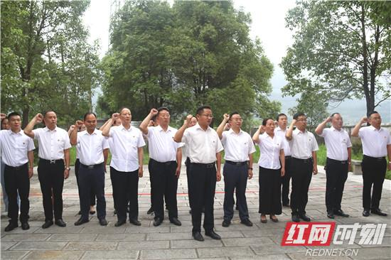 【“不忘初心、牢记使命”主题教育进行时】桑植县人民政府党组在陈家河镇开展主题教育
