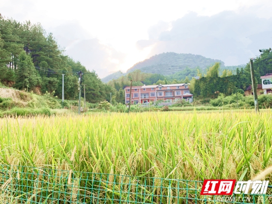 QQ??20190917171626.jpg