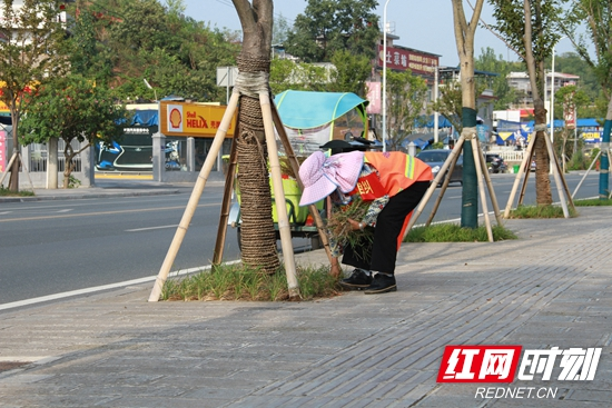 普扫队长朱小妹：用责任和担当诠释价值