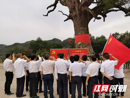 武陵源区教育局机关支部开展“学习革命先辈，传承红色基因”主题学习研讨活动