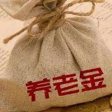 各地上调基本养老金 “十五连涨”如何顺利落地？