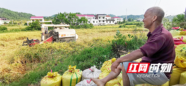 种植油菜7000余亩，每亩收益5000余元。种植弥猴桃1200余亩，每亩收益近万元。