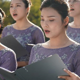 国际和平日“唱响”和平